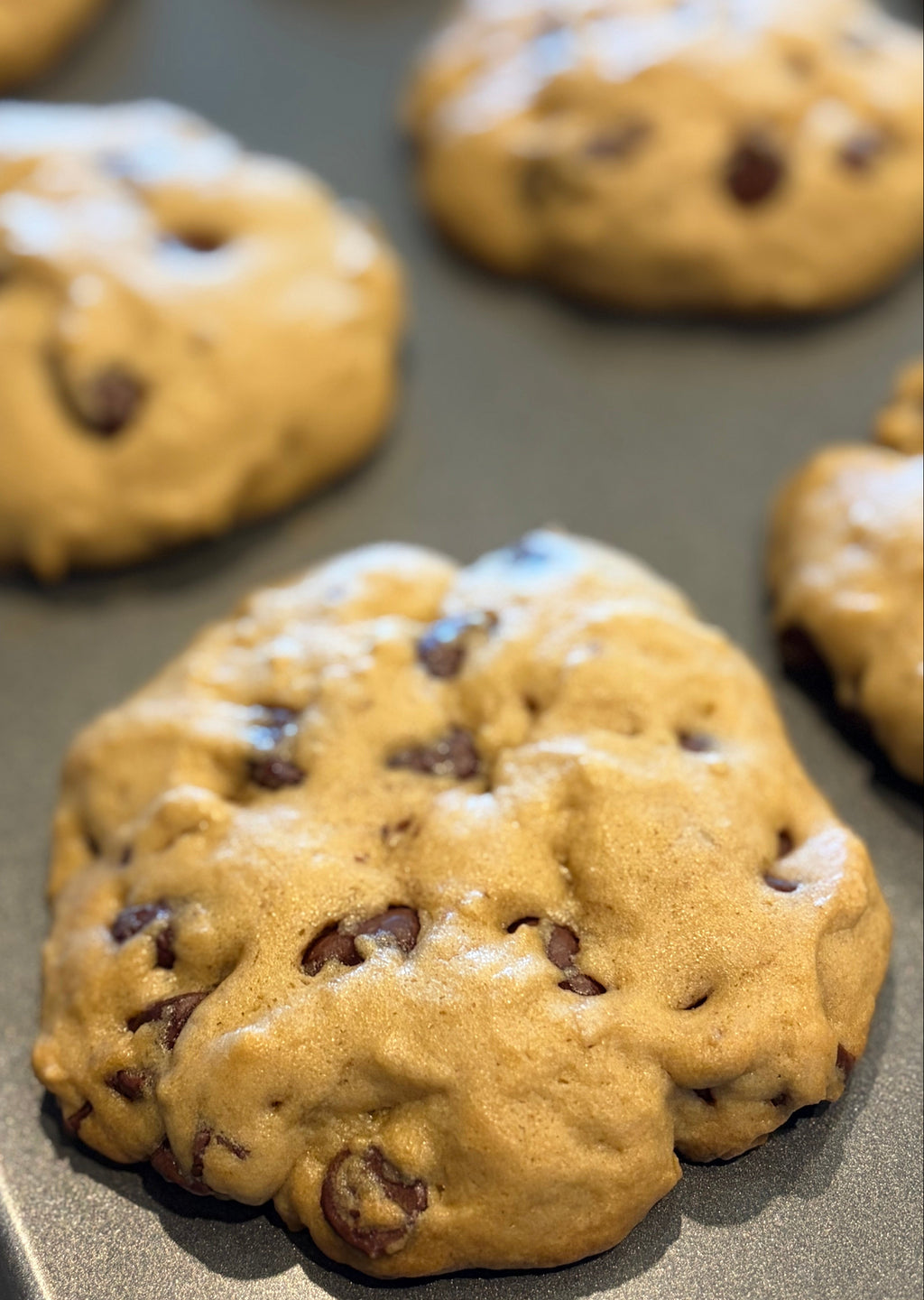 Cocoa Petals - Chocolate Chip Cookies